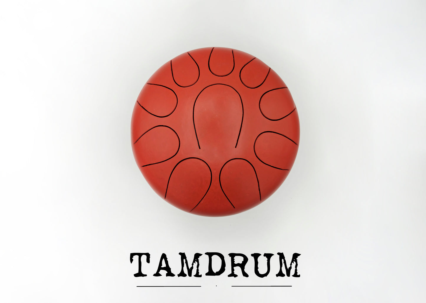 TAMdrum 10 notas