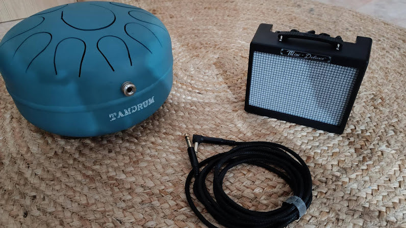 INTERNAL MICROPHONE